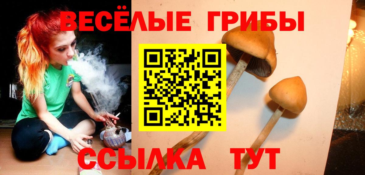 Похвистнево  Галлюциногенные грибы Psilocybe  Вход с VPN 